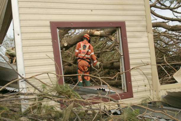 Professional Tree Removal in Valdese, NC